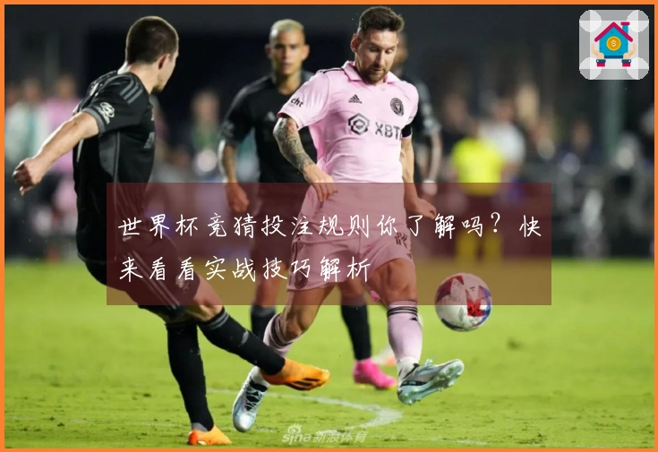 世界杯竞猜投注规则你了解吗？快来看看实战技巧解析