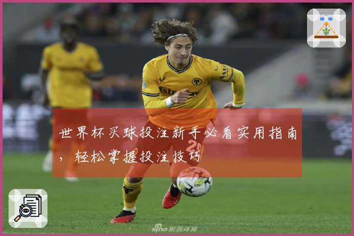 世界杯买球投注新手必看实用指南，轻松掌握投注技巧