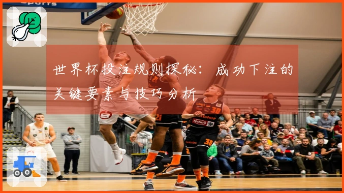 世界杯投注规则探秘：成功下注的关键要素与技巧分析
