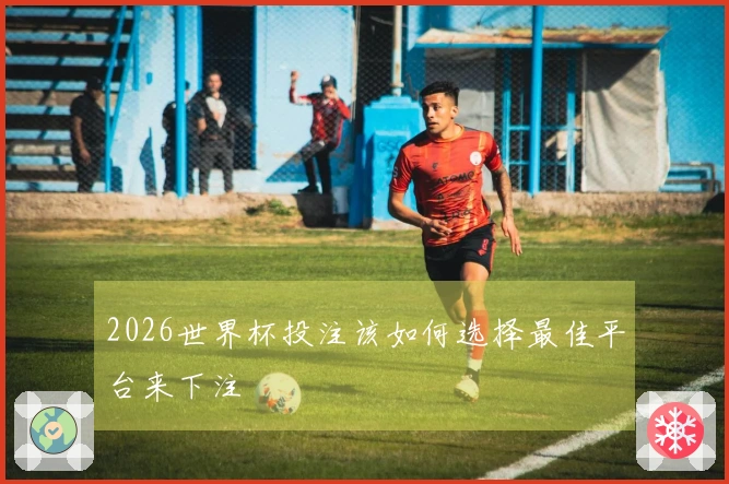 2026世界杯投注该如何选择最佳平台来下注