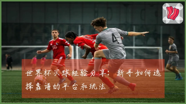 世界杯买球经验分享：新手如何选择靠谱的平台和玩法