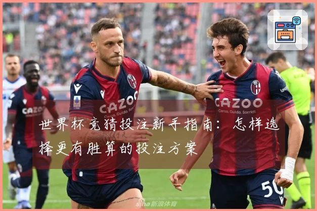 世界杯竞猜投注新手指南：怎样选择更有胜算的投注方案