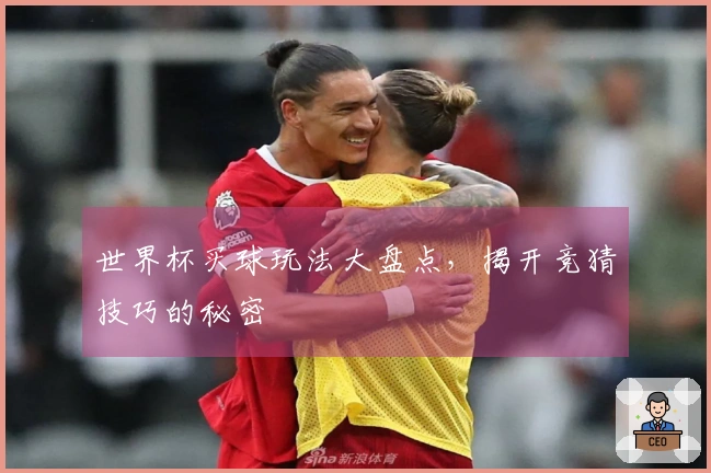 世界杯买球玩法大盘点,揭开竞猜技巧的秘密