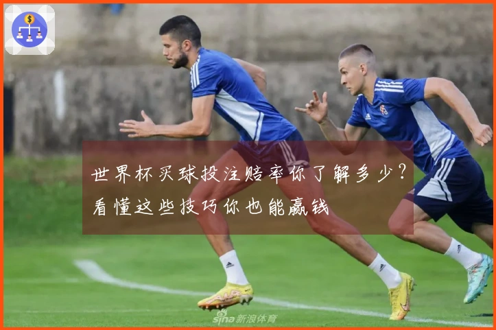世界杯买球投注赔率你了解多少？看懂这些技巧你也能赢钱