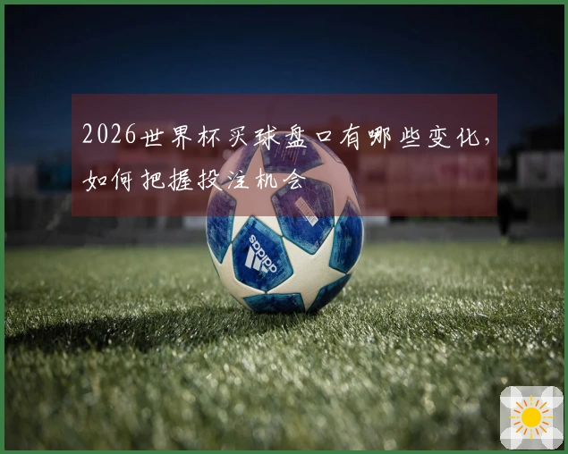2026世界杯买球盘口有哪些变化，如何把握投注机会