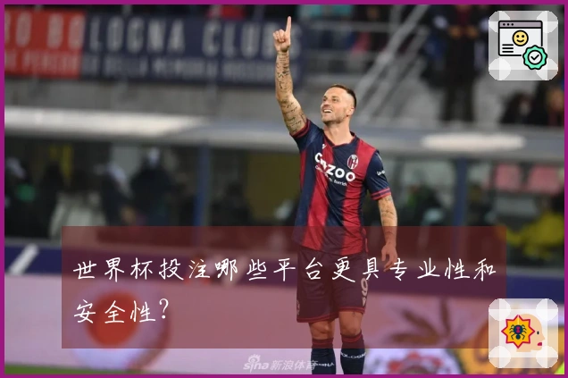 世界杯投注哪些平台更具专业性和安全性？