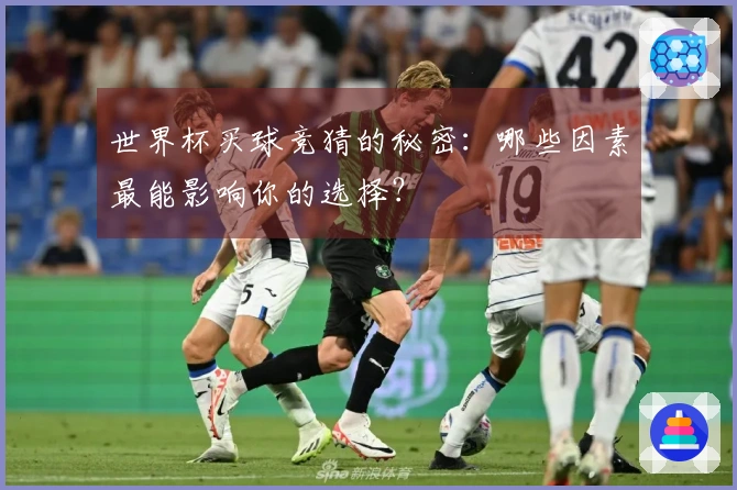 世界杯买球竞猜的秘密：哪些因素最能影响你的选择？