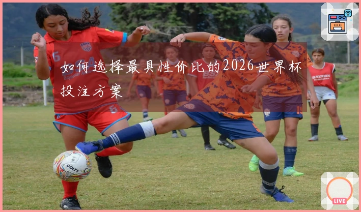 如何选择最具性价比的2026世界杯投注方案