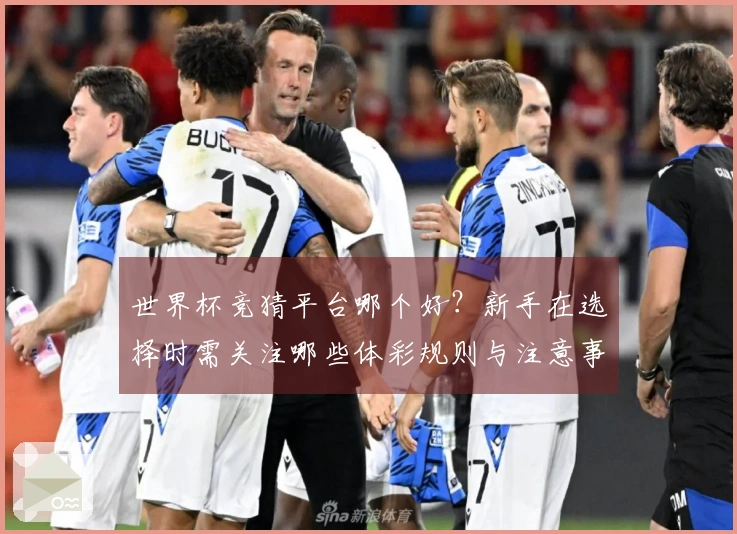 世界杯竞猜平台哪个好？新手在选择时需关注哪些体彩规则与注意事项