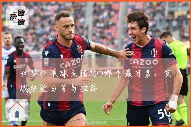 世界杯滚球竞猜App哪个最可靠，实战经验分享与推荐