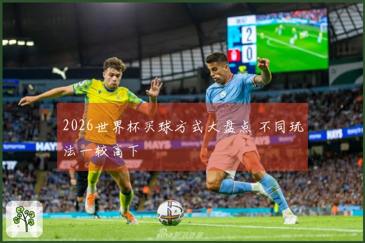 2026世界杯买球方式大盘点 不同玩法一较高下