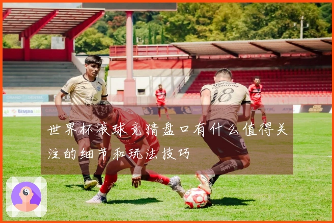 世界杯滚球竞猜盘口有什么值得关注的细节和玩法技巧
