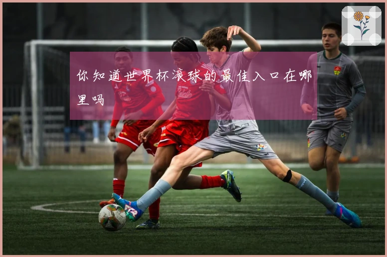 你知道世界杯滚球的最佳入口在哪里吗
