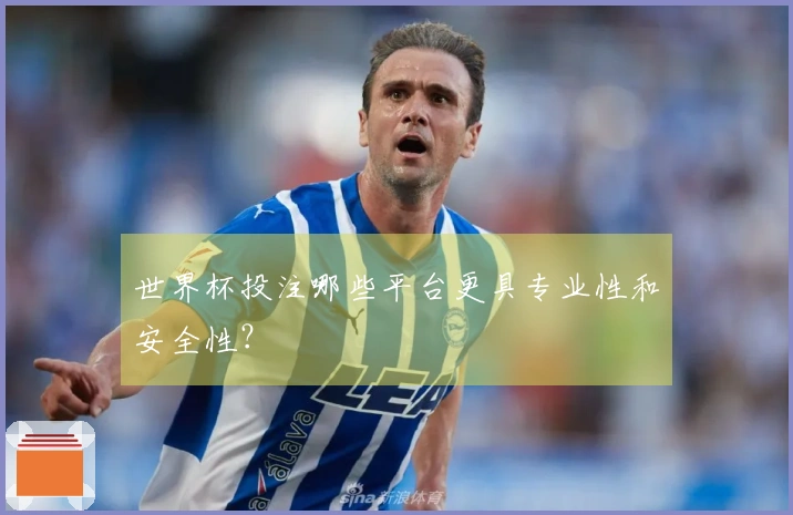 世界杯投注哪些平台更具专业性和安全性？
