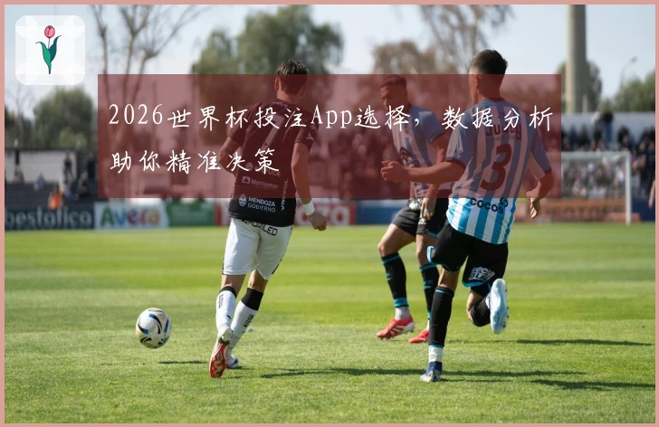 2026世界杯投注App选择，数据分析助你精准决策