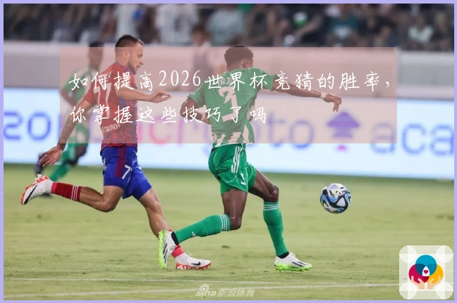 如何提高2026世界杯竞猜的胜率，你掌握这些技巧了吗